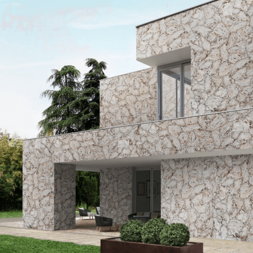 Окаменелое Дерево Белое