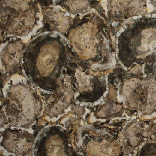 Окаменелое Дерево Бежево-Зеленое